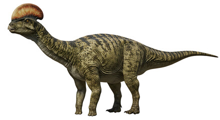 Parasaurolophus Dinosaur: Detailed Profile,  Naturalistic Style