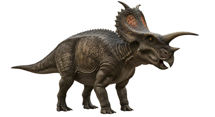 Fototapeta premium Powerful Triceratops Dinosaur: Detailed 3D Rendering, Majestic Pose