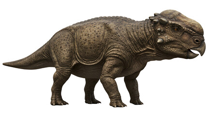 Obraz premium Pachycephalosaurus: A Detailed, Realistic Dinosaur Illustration