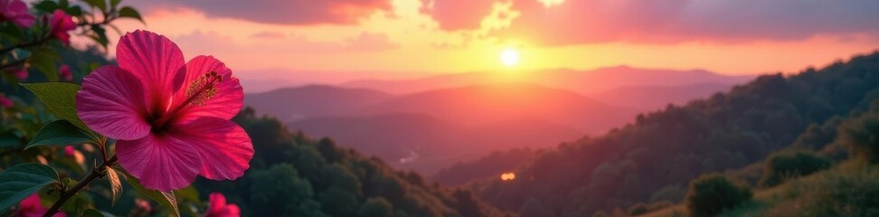 Obraz premium Sunrise paints pink hibiscus, distant hills glow , sun, plant