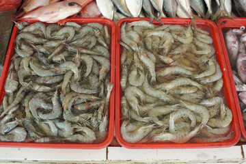 Various shrimp displayed at a traditional Indonesian fish market, ready for sale