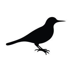 Bird Icon - Minimalist Flying Animal Silhouette Illustration