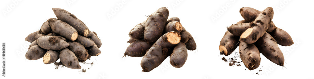 Poster set of close-up view of several fresh root vegetables. isolated on transparent background