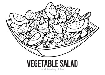 hand drawn vector illustration of an Vegetable salad