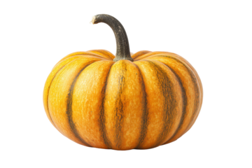 Vibrant orange pumpkin with dark stripes on black background, cut out