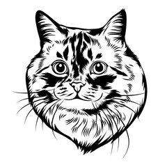 Vector line art cat black and white style