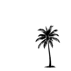 Tropical Palm Silhouette: A stark, monochrome illustration depicts a single palm tree, its fronds detailed against a white background, evoking a sense of serenity and summer.