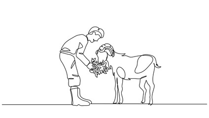 Continuous Line Art of Person Feeding Goat with Grass – Vector Illustration for Business, Farming, and Eid al-Adha