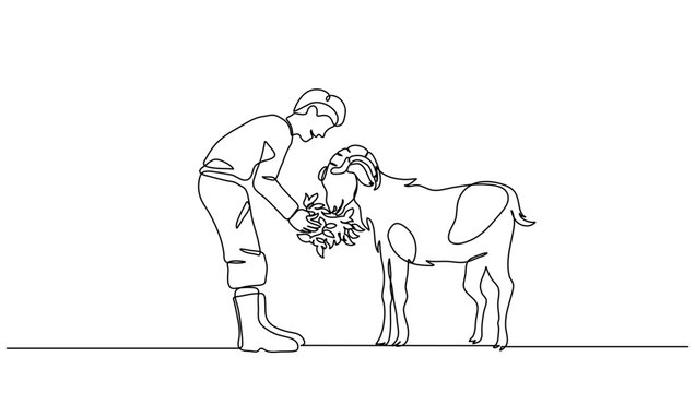 Continuous Line Art of Person Feeding Goat with Grass &ndash; Vector Illustration for Business, Farming, and Eid al-Adha