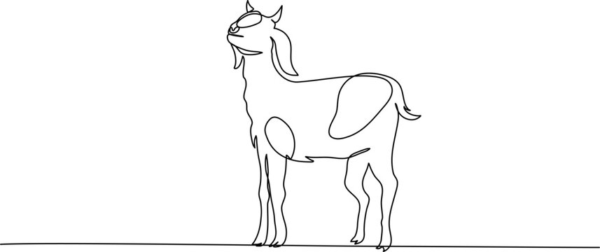 Continuous Line Art of Young Goat Facing Up. Vector Minimalist Illustration for Business, Farming, and Eid al-Adha
