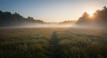 Foggy Meadow Path at Sunrise