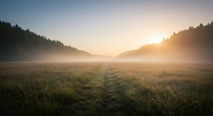 Foggy Meadow Path at Sunrise