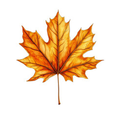 Fototapeta premium Autumn Leaf Collection Artwork - 29