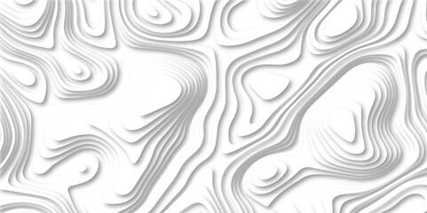 Abstract white paper cut wave style overlap design modern luxury creative background vector illustration. Abstract soft white background with waves, textured, Papercut, background.