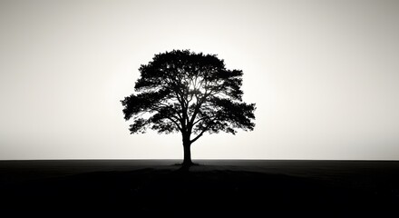 Silhouette Tree on Horizon