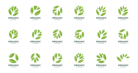Best leaf logo collection set, for company logos, business and branding digital technology