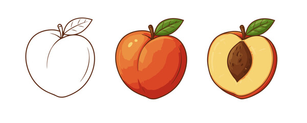 Three distinct cartoon peach illustrations: outline, full color fruit, and a detailed half-cut view showing the pit