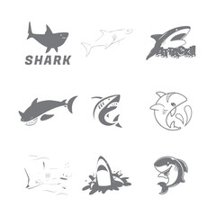 shark vector