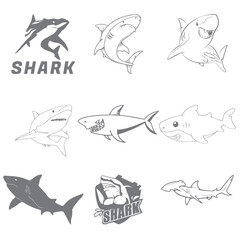 attack shark vector