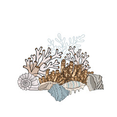 Hand-drawn vector illustration of various corals and seashells in an underwater composition. Detailed marine life artwork in natural colors. Perfect for ocean-themed designs, summer prints, educationa