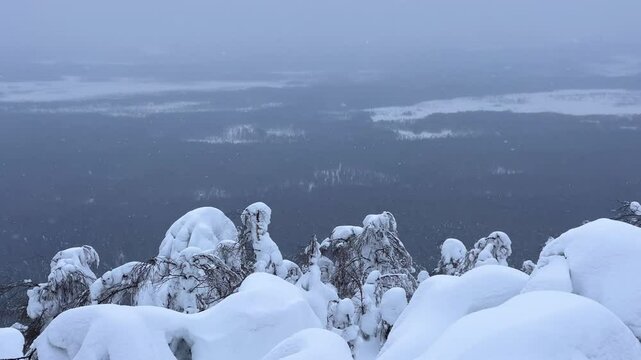 View of the white rocks and the winter forest on Mount Polyud. Lappish spruces on Mount Polyud in the Perm region in winter. In winter, there is a lot of snow and frost on the trees in the Urals. 4К