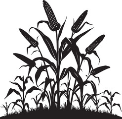 Silhouette of corn plant growing with leaves of vegetable harvest vector on white background