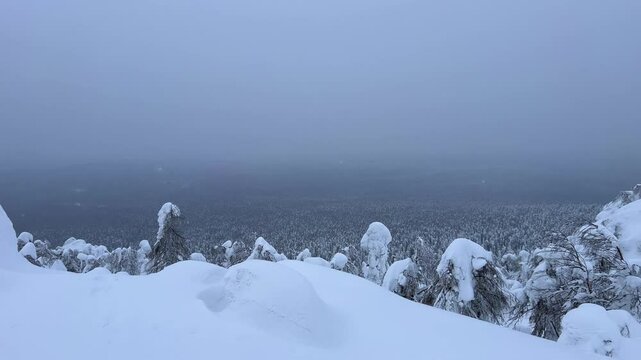 View of the white rocks and the winter forest on Mount Polyud. Lappish spruces on Mount Polyud in the Perm region in winter. In winter, there is a lot of snow and frost on the trees in the Urals. 4К