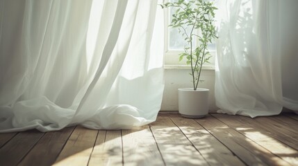 Rustic wooden floor with potted plant and sheer curtains by window  