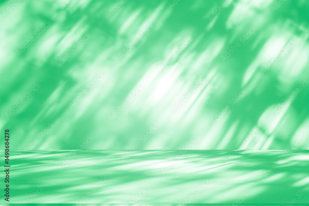 Poster wall interior background, studio and backdrops show products. with leaf shadow from window color gre