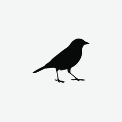 Obraz premium Minimalist Black Sparrow Silhouette on White Background – Clean, High-Contrast Bird Illustration