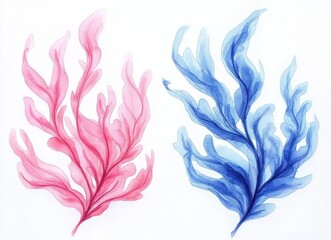 Delicate watercolor painting of two seaweed branches, one pink and one blue, displaying soft, flowing shapes on a white background