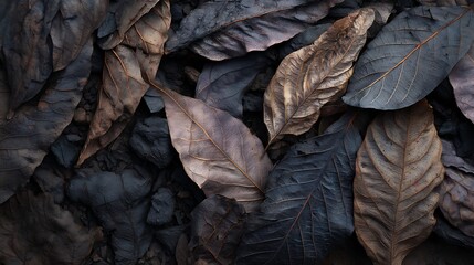 Burnt Leaves Texture with Charcoal : Suitable for Be Used as Background and Content in Any Project (Print, Graphic Design, Blog Posts, Social Media Posts or Website Related to Environment Theme)