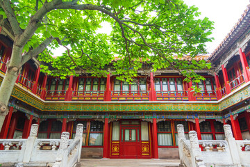 The scenery of the Imperial Garden of the Palace Museum in Beijing in summer