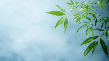 Fresh green leaves against a soft blue background