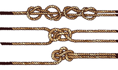 Knot Vector Collection