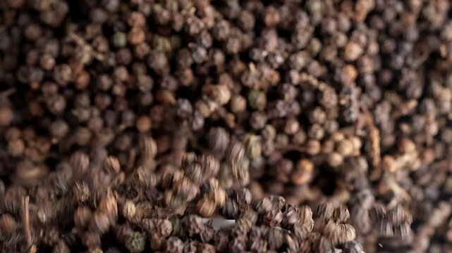 Organic black pepper kept on rotating disk. Macro video of black pepper.