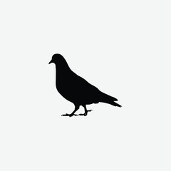 Minimalist Black Pigeon Silhouette on White Background – Clean Walking Pose Vector for Elegant Designs