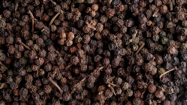 Organic black pepper kept on rotating disk. Macro video of black pepper.