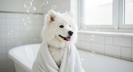 White dog in a bathroom with bubbles