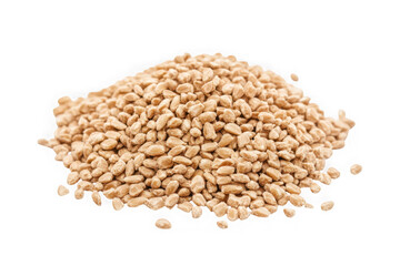 Fototapeta premium Pile of hulled sesame seeds macro photography food ingredient cooking baking seed sesame isolated on transparent background