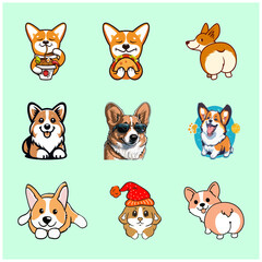 Obraz premium Cute Corgi Dog Color Vectors Face Eating