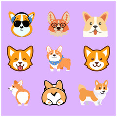 Cute Corgi Dog Color Vectors Face Body