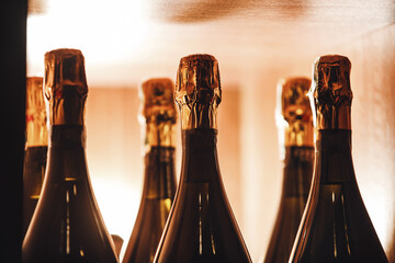 Close-Up View of Champagne Bottles Lined Up on Wooden Shelf