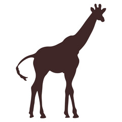 giraffe cartoon isolated on white