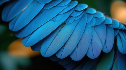 Fototapeta premium This close-up showcases a stunning arrangement of dark bird feathers, highlighting their intricate textures and glossy surfaces.