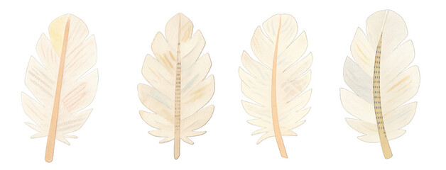 PNG Elegant beige feather illustrations, element set on transparent background