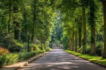 Fototapeta premium Serene Forest Pathway Under a Canopy of Green