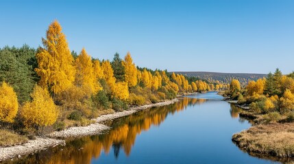 Fototapeta premium Autumn foliage lines a calm river reflecting the bright sky.