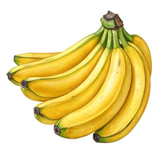 A yellow bunch of ripe bananas, a healthy tropical fruit and food, is isolated on a white background