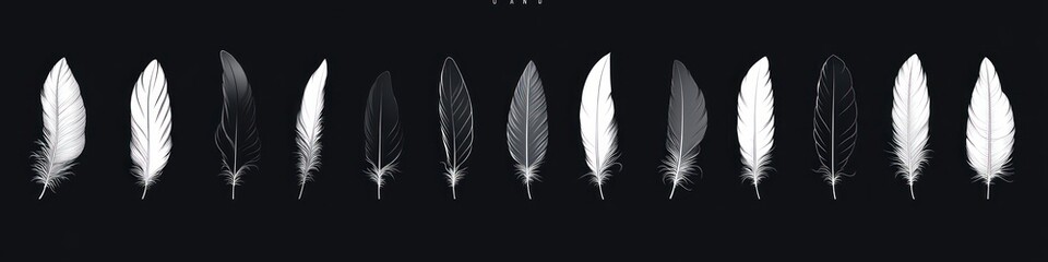 Obraz premium A horizontal row of thirteen feathers in alternating black, white, and gray shades displayed against a dark background